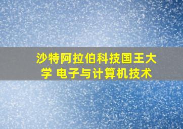 沙特阿拉伯科技国王大学 电子与计算机技术